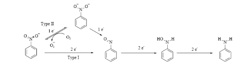 生物催化系列 — 硝基还原酶